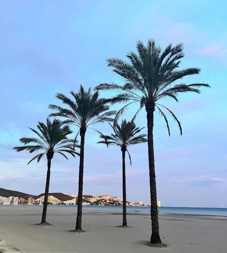 A 50 M De La Plage Кульєра Екстер'єр фото